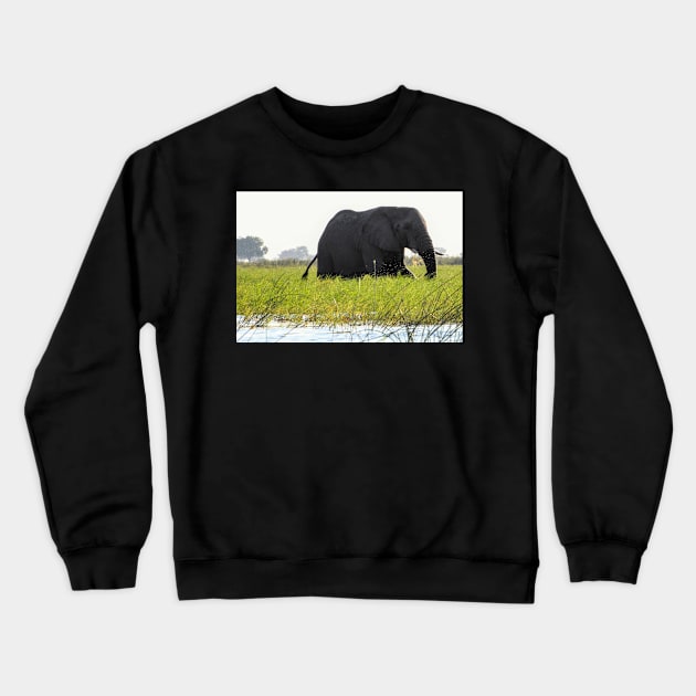 A large male elephant wading in the waters of the Okavango Delta Crewneck Sweatshirt by Steves-Pics